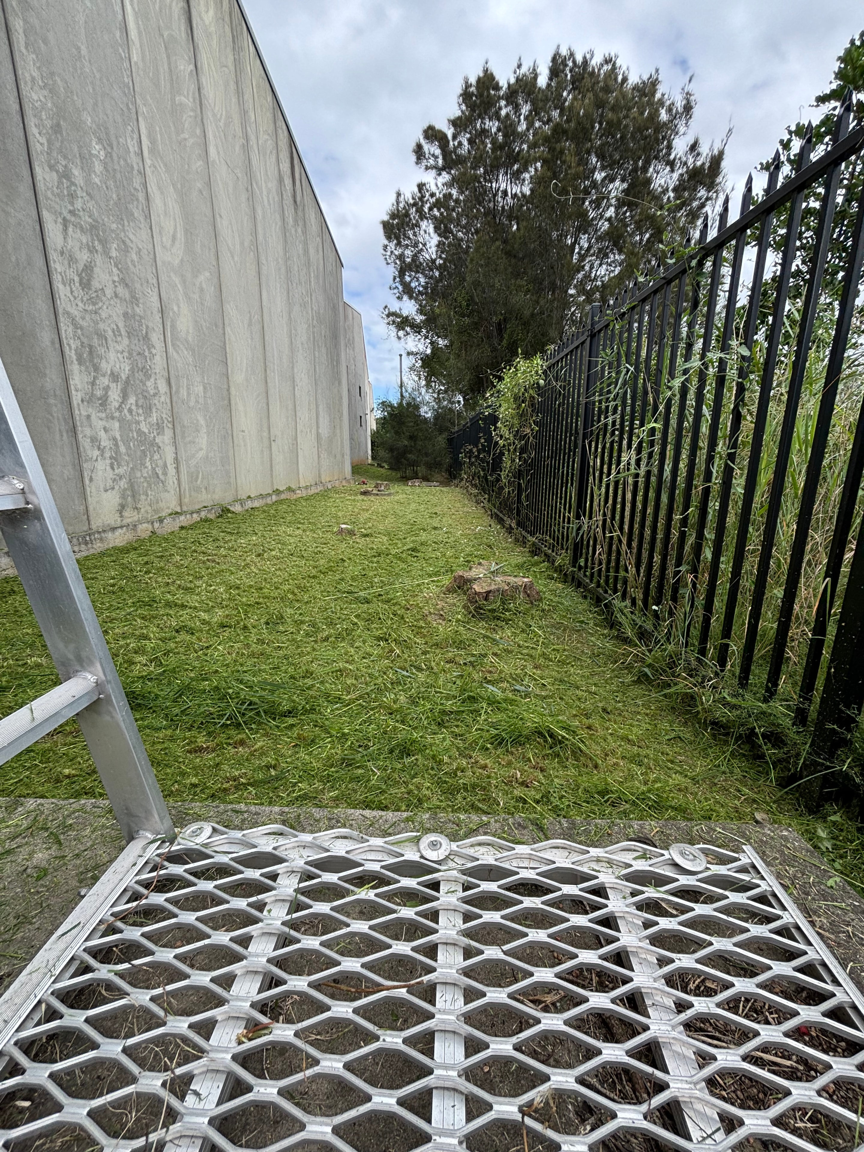 Commercial lawn receiving professional grounds maintenance