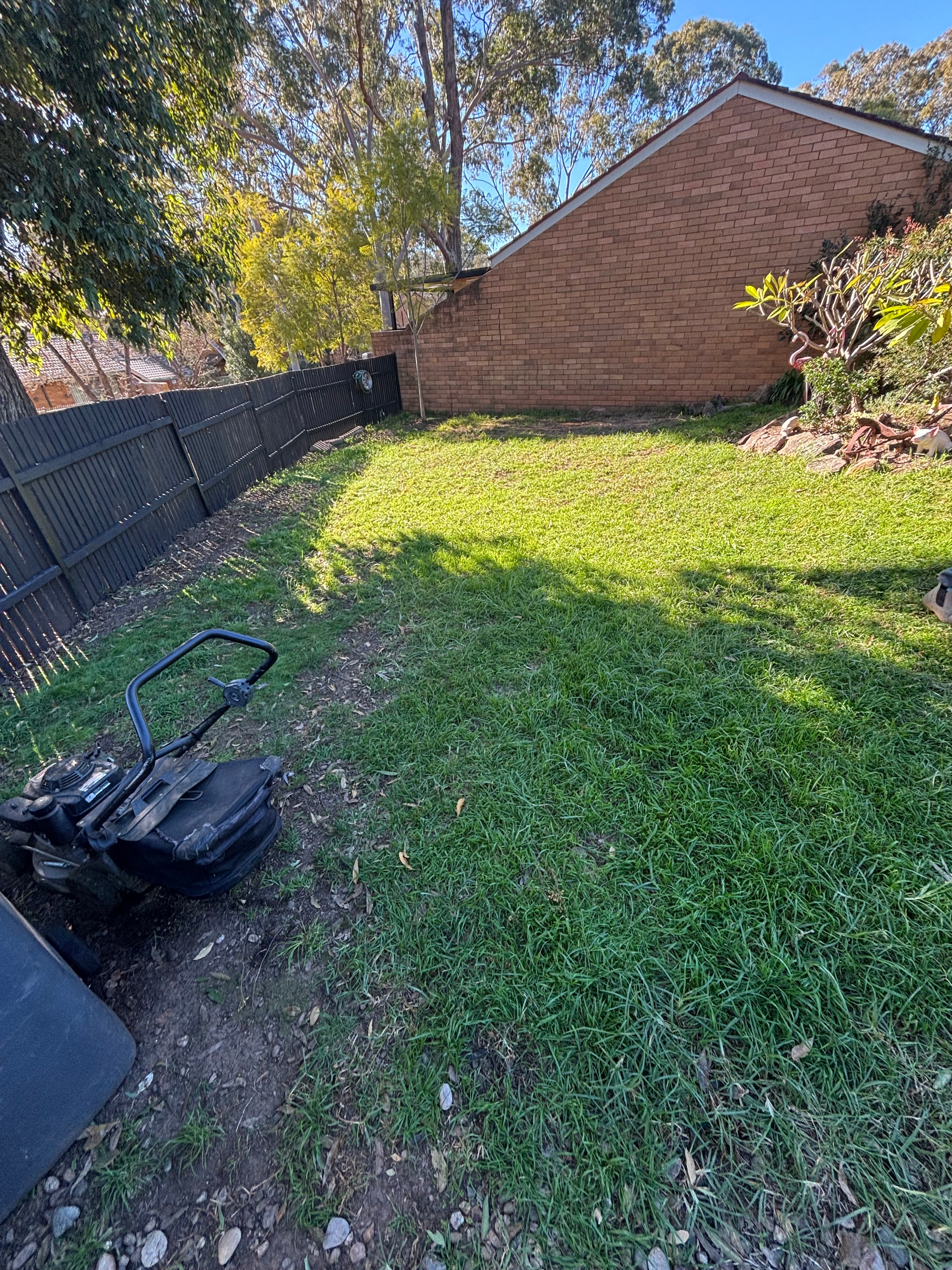 Established suburban garden before a lawn reset