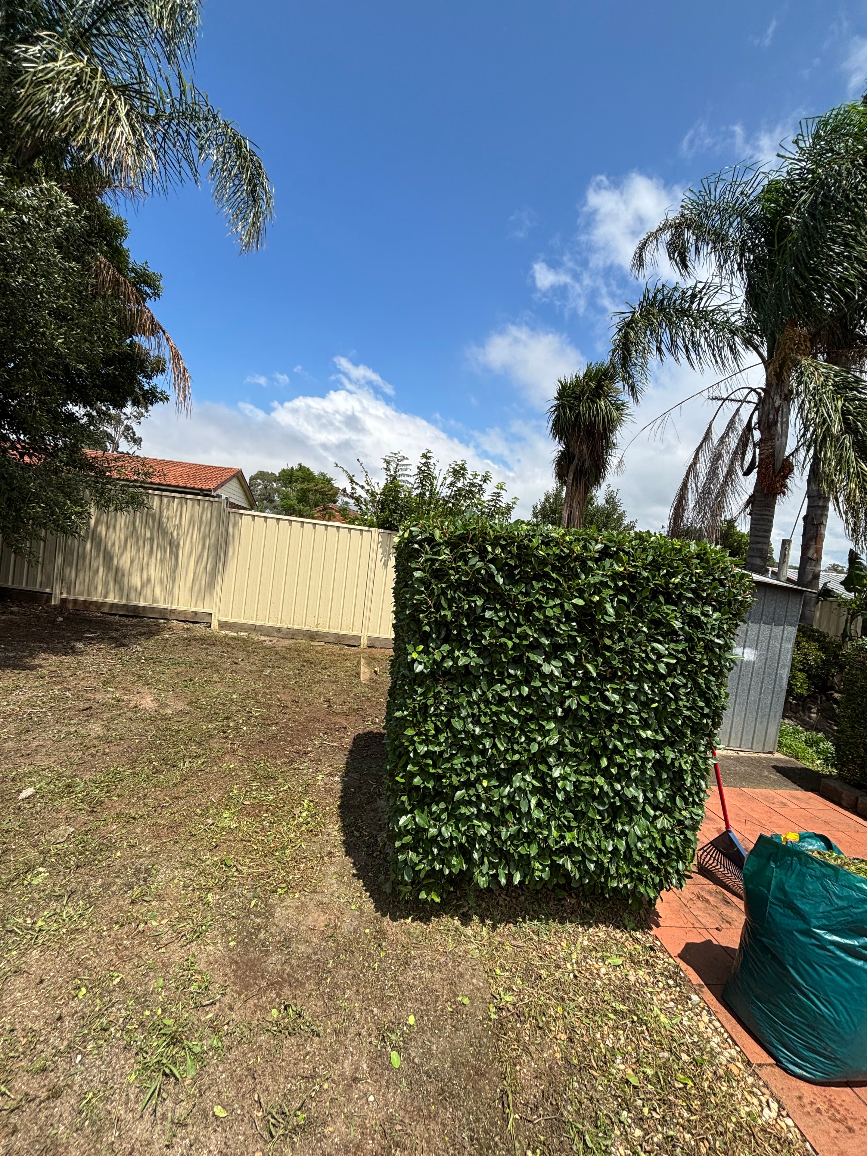 Maintained residential complex garden and entry landscaping